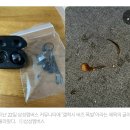 삼성 갤럭시 버즈 귀에서 ‘펑’…두 번째 폭발에 소비자 불안 이미지