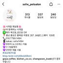 사개절 펫살롱 이미지