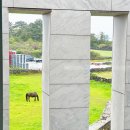 에다모니아 이미지