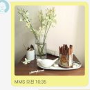 마르쥬 | 모기퇴치 마르쥬 시나몬캔들 후기~^^