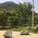 샬롬빌리지 펜션 야영장 | 바퀴달린집 촬영지 - 샬롬빌리지 캠핑장