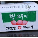 세비농장 이미지