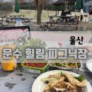 문수힐링피크닉장(문수누리길) 화장실 | 울산 문수힐링피크닉장 야간 후기