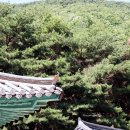 예산-32 이미지