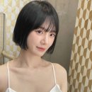 이슈헤어 네이버블로그