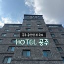 금강세탁 | 충남 공주 숙소 호텔 공주 디럭스룸 후기/공산성 뷰/라운지바/넷플릭스