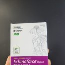 박하약국 | 감기 초기 약 에키나포스 후기｜목 따가울 때 먹어본 약국 감기약 (가격·효과)