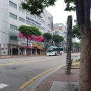 수원-1716 이미지