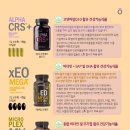 (주)비멕스 네이버블로그