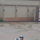 (주)엔터펀 네이버블로그