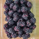 필부서비스 이미지