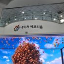 아주르키즈풀빌라 네이버블로그