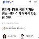 무원칙의 혼돈시대군요. feats. 트럼프 vs 젤렌스키 vs 나경원 이미지