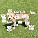 아이멍그라운드 이미지