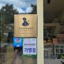 [일반과정][10/12] 반려동물 수제간식(원데이클래스) | 홍성 원데이클래스 멍스쿠킹 내포강아지간식 테린 만들고 온 후기