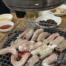부산산꼼장어 이미지