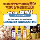 알뜰 살림러 주목! 하나만 구매해도 무료배송, 으쌰으쌰 산지·농가상품 모아모아 기획전