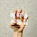 울산방어휴먼시아아파트 | ［울산매곡/네일］울산북구네일 손톱칠, 자석젤 젤아트 잘하는 네일샵다녀온 후기