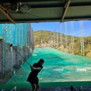 금오여자고등학교 | 구미 골프 연습장 지산동 파크골프클럽 찐 후기