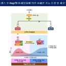 인바 이미지