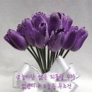 감곡사 Daum카페