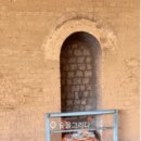 숲을 그리다 이미지