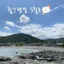 햄 별 이미지
