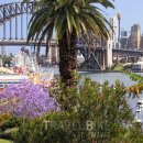 꽃 보러 떠나는 세계여행(2) 이미지