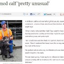 기형목장 이미지