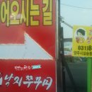 힘낙지쭈꾸미 이미지