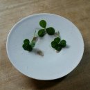 축령산휴림 이미지
