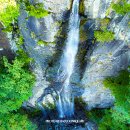 싱그러운청도로(여름) 이미지