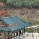 뒷나루길 | 강원도 양양 낙산사 가을 여행 가볼 만한 곳 해수관음상 관음성지 부모님 모시고 간 후기
