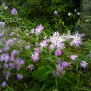 (유)동진 이미지