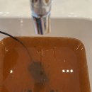 힐링족욕카페 | 대구 서문시장 쉼족욕카페 힐링카페 방문 후기
