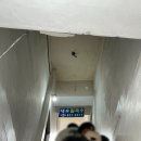 내돈내산 강원도 동해 묵호 대우칼국수 노포감성 장칼국수