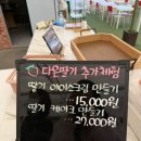 진주농장 | [경남/진주]금실,설향 딸기 농장 체험_다은딸기 내돈내산후기🍓🧑🏻‍🌾
