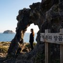 명진카써비스 | 🏝️ 2026 제주도 동쪽 숨은 명소만 골라 다닌 2박 3일 뚜벅이 여행 리얼 후기 (feat. 인생샷 좌표)