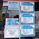 웰리힐리파크 | 횡성 웰리힐리파크 자연차림, 눈썰매, 곤돌라 내돈내산 솔직후기