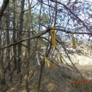 광덕3로3 이미지