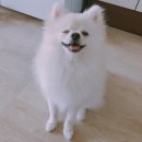 해충방역 캐치원 - 북구 | 해충방역 캐치원