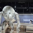 꿈의숲안경 | 하우스노웨어 성수 주차 닥스훈트 젠틀몬스터 사옥 웨이팅 오픈런