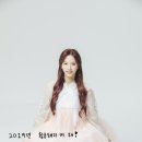 보나 이미지