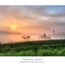 안식목장 이미지