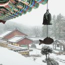 석장 Daum카페