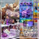 대빵오락실 천호 2호점 | 천호데이트ㅣ천호로데오거리 인형뽑기 피규어뽑기 가챠샵 6곳 모음 251101