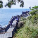 (주)마이렌트카 | 제주 여행 렌트카 예약 내돈내산 찜카 12% 할인 꿀팁