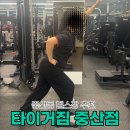 탄중로 | 일산 중산동 연중무휴 헬스장 타이거짐 9~10회차 PT 추천 후기