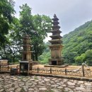 제100차 정기산행 : 계룡산 2026년 5월 9일(토) 이미지