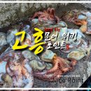 달성낚시 | 고흥 문어낚시 워킹 포인트 녹동항 46마리 잡은 곳 정리